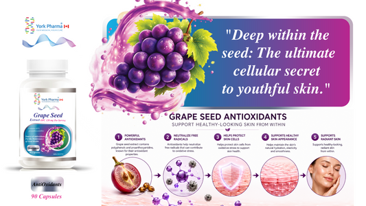 Grape seed Extract 85% OPC 120 mg(2 Capsules)