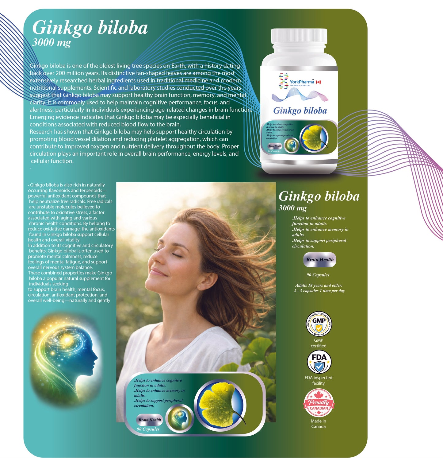 Ginkgo biloba 3000 mg
